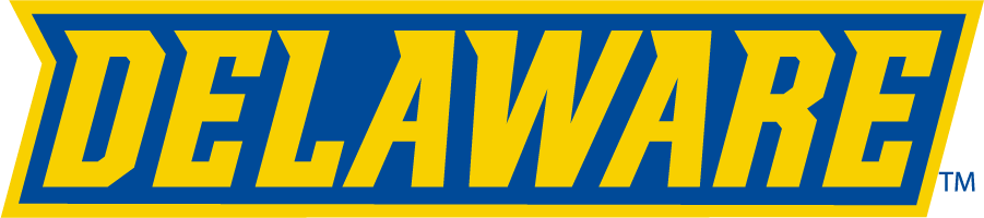 Delaware Blue Hens 2018-Pres Wordmark Logo v2 iron on transfers for T-shirts